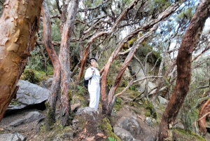 Cajas National Park Half-Day Escapade