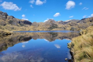 Cajas National Park Half-Day Escapade