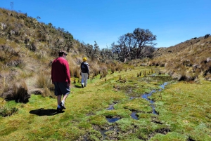 Cajas National Park Half-Day Escapade