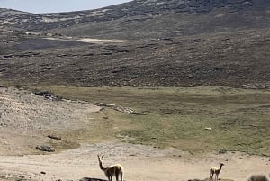 Chimborazo-Salinas-Guaranda