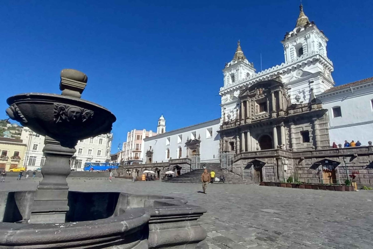 City Tour & Bird Watching Adventure from Quito