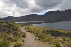 Condor sighting Adventure: Tour from Quito