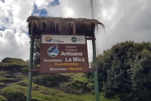 Condor sighting Adventure: Tour from Quito