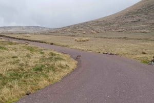 Condor sighting Adventure: Tour from Quito