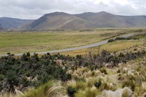 Condor sighting Adventure: Tour from Quito