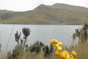 Condor sighting Adventure: Tour from Quito