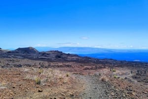 Erövra vulkanen Sierra Negra! Expedition till lavafälten