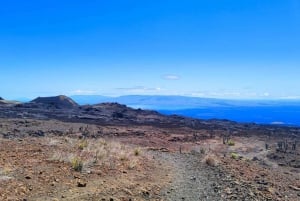 シエラネグラ火山を制覇せよ！溶岩原への遠征