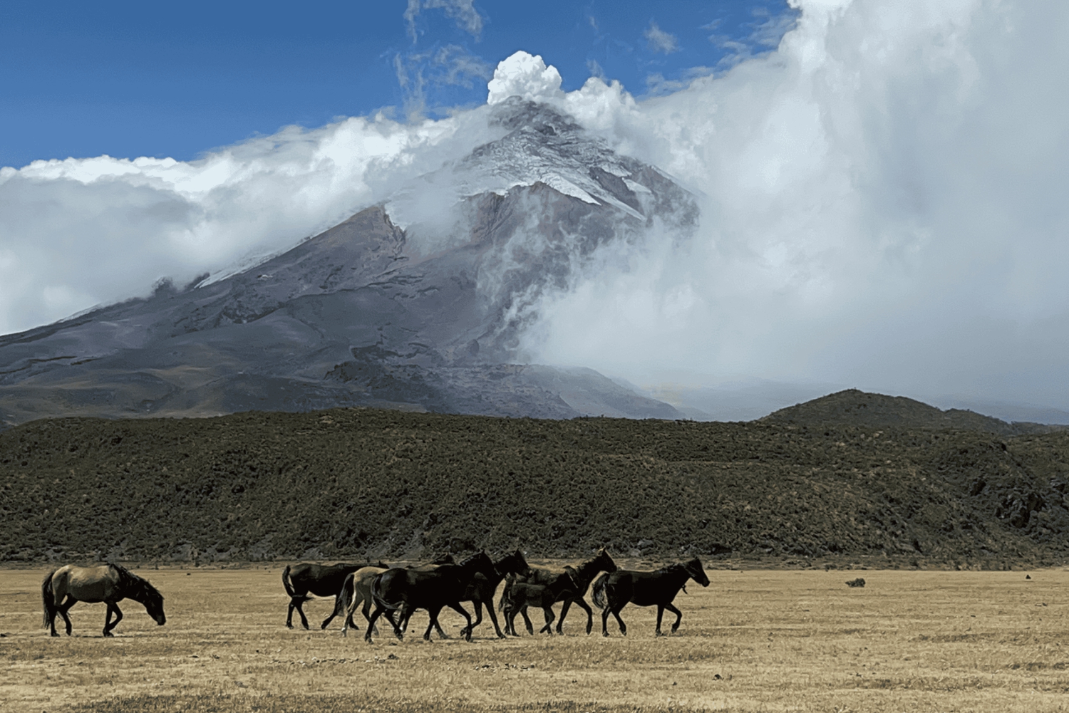 Tour di 1 giorno del Cotopaxi
