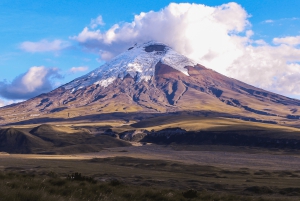 Tour di 1 giorno del Cotopaxi
