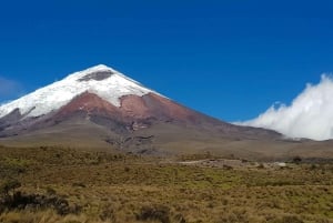 Cotopaxi and Baños Tour In One Day