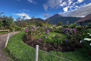 Utforska Cotopaxi & Baños på en dag från Quito