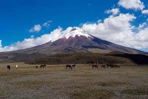 Cotopaxi and Baños Tour: Tickets & Lunch