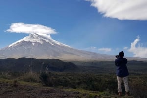 Cotopaxi and Quilotoa Day Trip