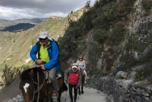 Cotopaxi and Quilotoa in one day: Hiking, nature and culture