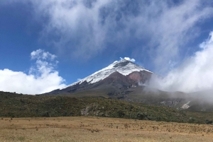 Cotopaxi and Quilotoa in one day: Hiking, nature and culture