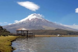 Cotopaxi og Quilotoa-tur: 2 dager - 1 natt alt inkludert
