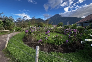 Cotopaxi & Baños Day Tour -Volcano, Waterfalls, Quito Pickup