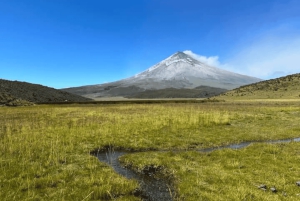 Cotopaxi & Baños Day Tour -Volcano, Waterfalls, Quito Pickup