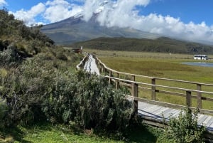 Cotopaxi & Baños de Agua Santa 2 Days 1 Night