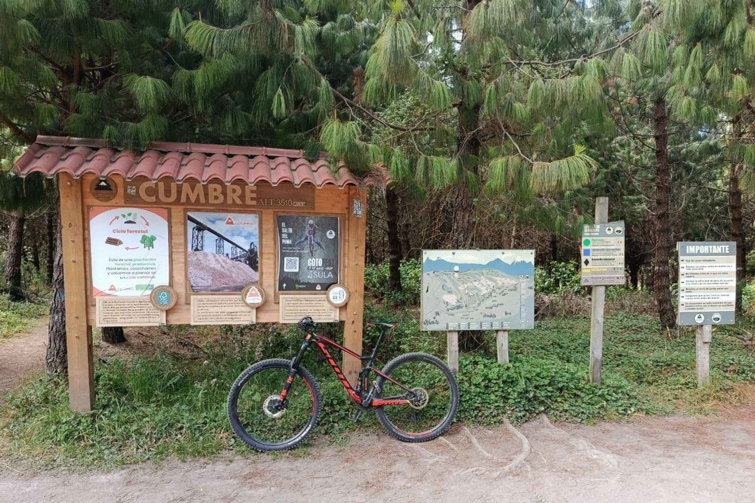 Cotopaxi: EXCLUSIVO Passeio de bicicleta pelas montanhas do parque e diversão