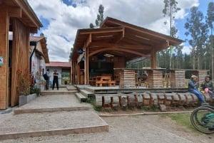 Cotopaxi: EXCLUSIVO Passeio de bicicleta pelas montanhas do parque e diversão
