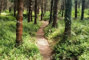 Cotopaxi: EXCLUSIVO Passeio de bicicleta pelas montanhas do parque e diversão