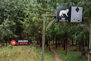 Cotopaxi: EXCLUSIVO Passeio de bicicleta pelas montanhas do parque e diversão