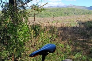 Cotopaxi: EXCLUSIVO Passeio de bicicleta pelas montanhas do parque e diversão