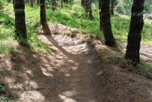 Cotopaxi: EXCLUSIVO Passeio de bicicleta pelas montanhas do parque e diversão
