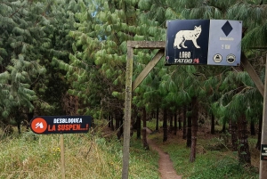 Cotopaxi: EKSKLUSIV cykeltur gennem Park Mountains og sjov