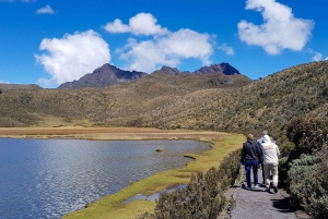 Cotopaxi Full Day From Quito - All Included