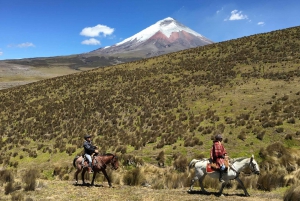 Cotopaxi Horseback Riding Tour from Quito