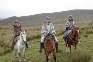Cotopaxi Horseback Riding Tour from Quito