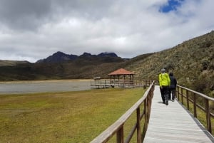 Cotopaxi Park and Papallacta Hot Springs: Lunch Included