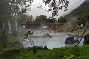 Cotopaxi Park og Papallacta Hot Springs: Frokost inkluderet