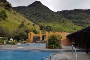 Cotopaxi Park og Papallacta Hot Springs: Frokost inkluderet