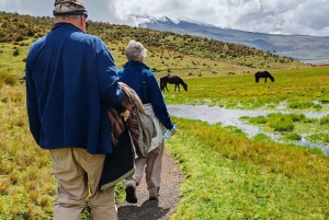 Cotopaxi National Park and Papallacta Hot Springs