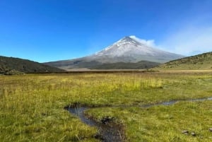 Parco nazionale di Cotopaxi e sorgenti termali di Papallacta