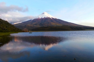 Cotopaxi National Park Full-Day Tour from Quito