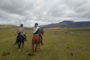 Paardrijtocht door het Cotopaxi Nationaal Park