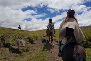 Randonnée à cheval dans le parc national du Cotopaxi