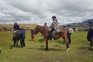 Cotopaxin kansallispuiston ratsastusretki hevosella