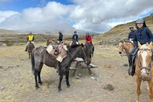 Cotopaxin kansallispuiston ratsastusretki hevosella