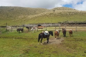 Cotopaxin kansallispuiston ratsastusretki hevosella