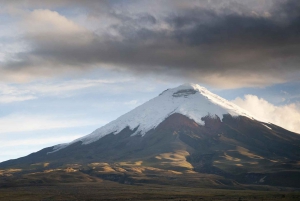 Cotopaxi National Park: Private Tour from Quito