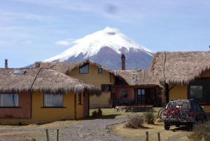 Cotopaxi National Park & Quilotoa Full-Day Tour