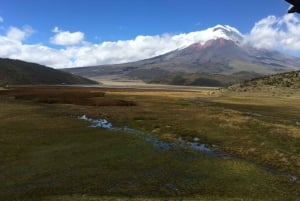 Cotopaxi: Tour guidato di natura e avventura per il trekking