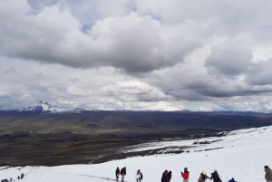 Parc du Cotopaxi et sources chaudes de Papallacta : Déjeuner inclus