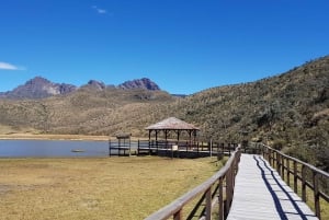 Parc du Cotopaxi et sources chaudes de Papallacta : Déjeuner inclus